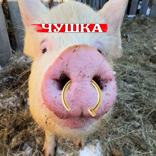 Чушка