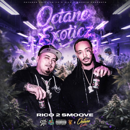 Octane Exoticz