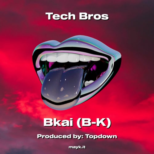 Tech Bros