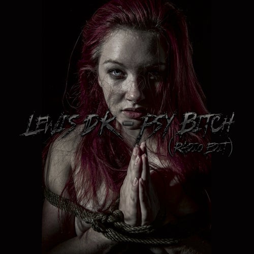 Psy Bitch (Radio Edit)