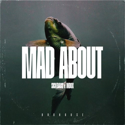 Mad About