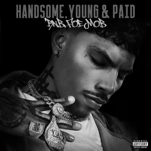 Handsome, Young & Paid