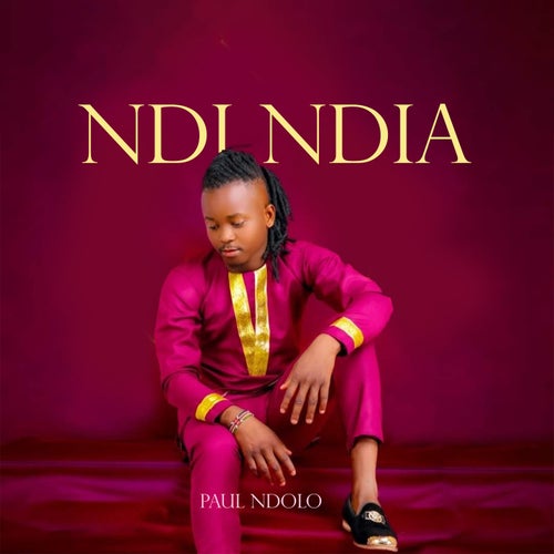 Ndi ndia