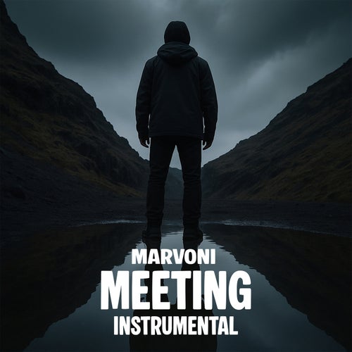 Meeting