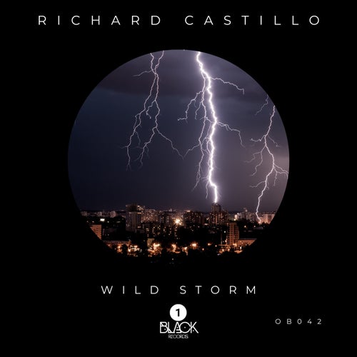 Wild Storm