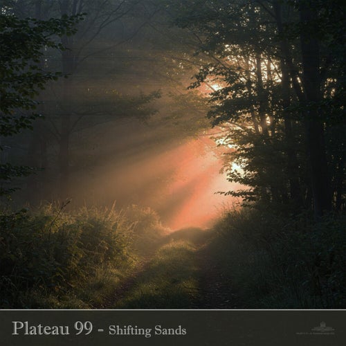 Shifting Sands