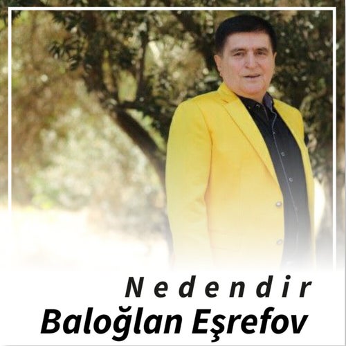 Nedendir