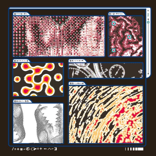 Autolysis and Putrefaction