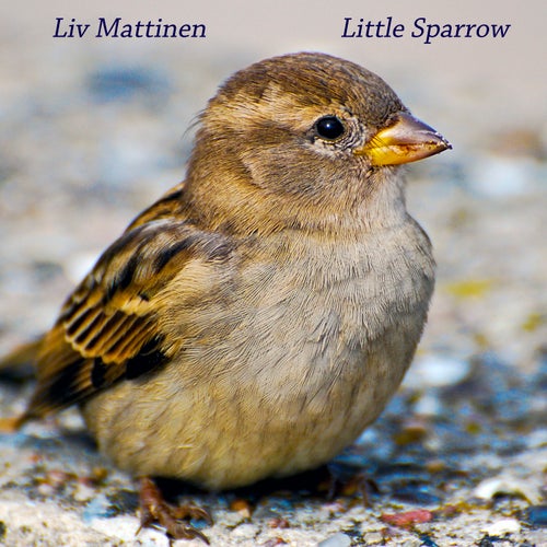 Little Sparrow