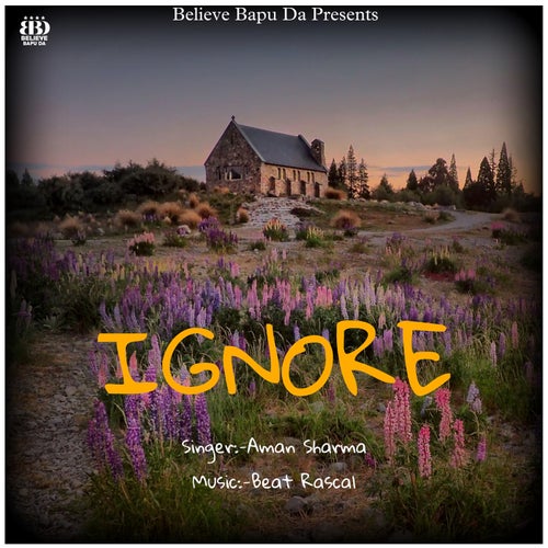 Ignore