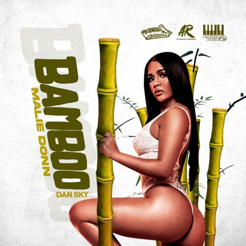 Bamboo