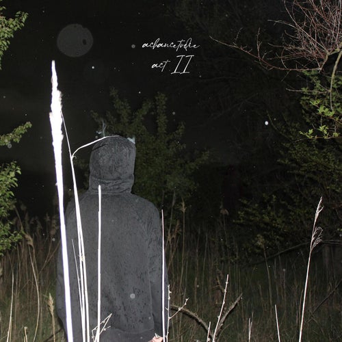 Release of the week