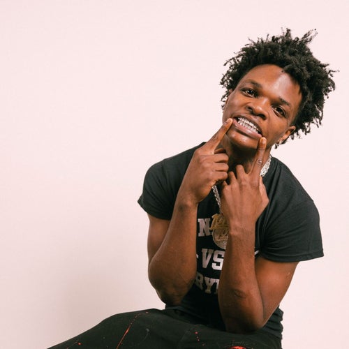 Roboy Profile