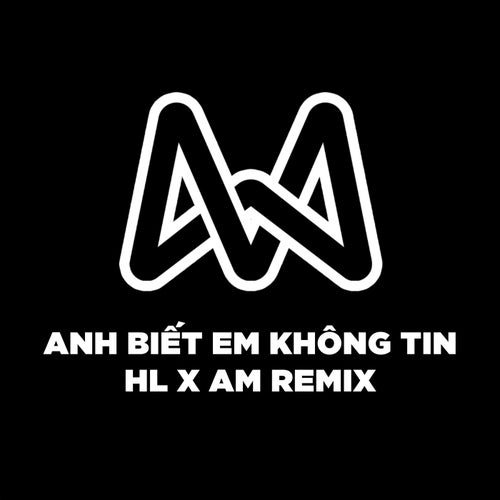 Anh Biết Em Không Tin (HL Remix)
