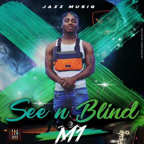 See n Blind