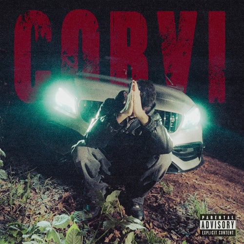 Corvi