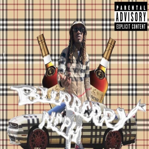 bosstop burberry