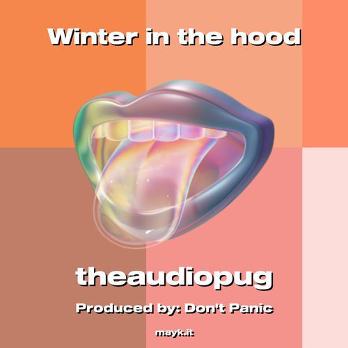 Winter in the hood