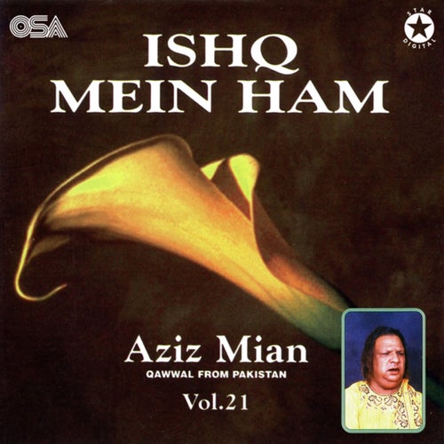 Ishq Mein Ham, Vol. 21