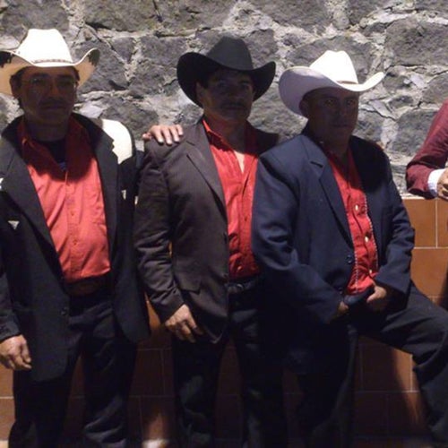 Latigo Norteño Profile