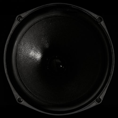 Release of the week