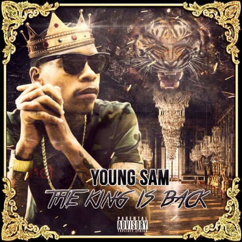Young Nigga  
