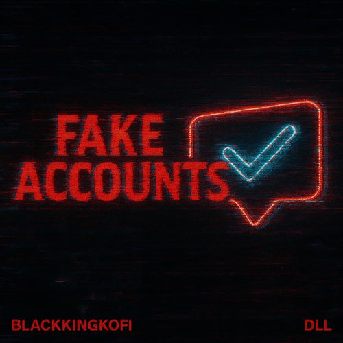 Fake Accounts