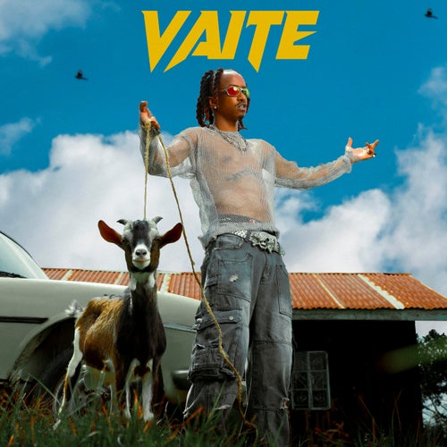 Vaite