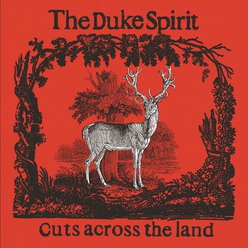 Cuts Across the Land