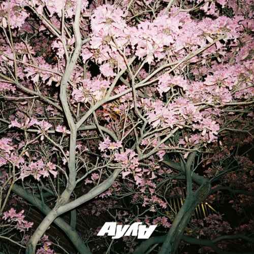 what you need (reworks)