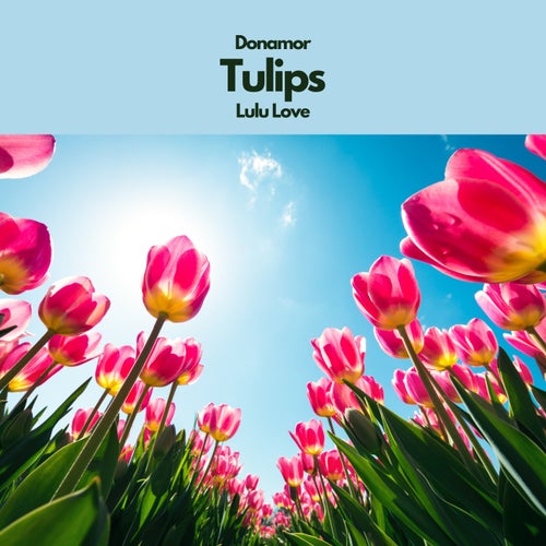 Tulips (feat. Lulu Love)