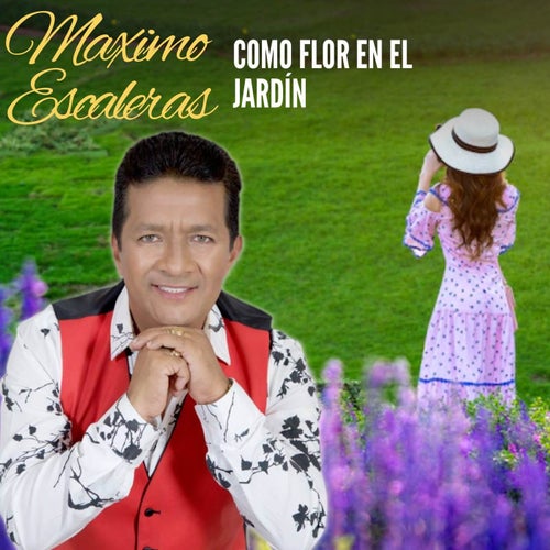Te Miro