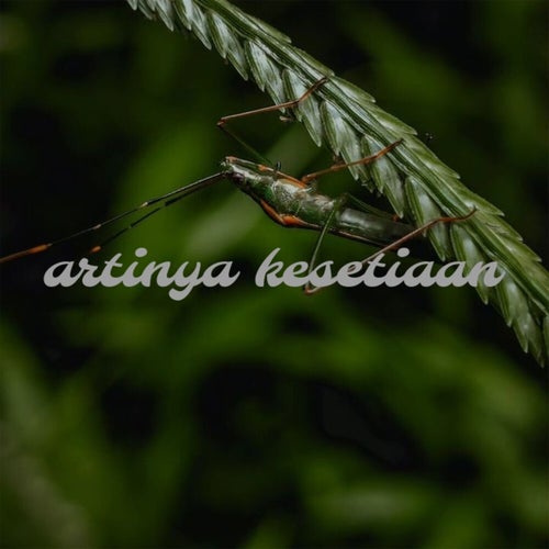 Artinya Kesetiaan
