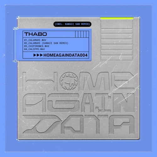 Home Again Data 04