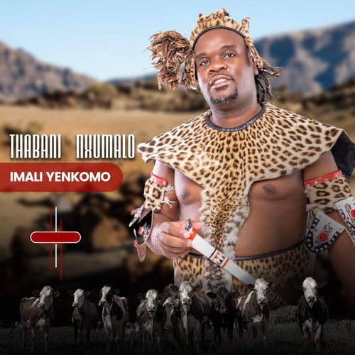 Khulumani Makhehla