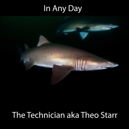 In Any Day