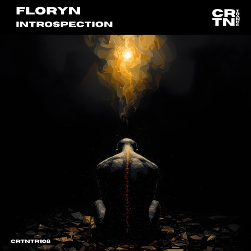 Introspection