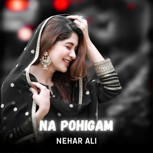 Na Pohigam