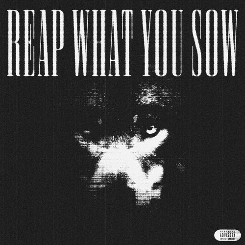 reap what you sow