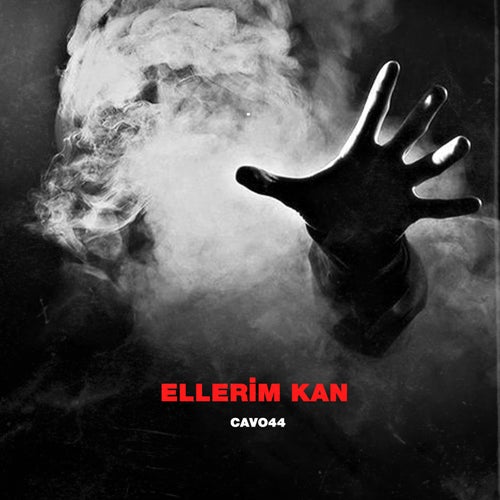 Ellerim Kan