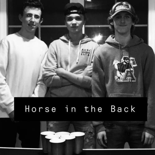 Horse in the Back (feat. Big B & Mitch Denney Bud)