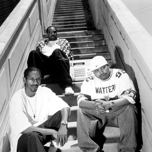 Chico & Coolwadda Profile