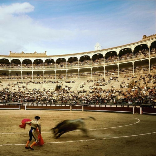 Raging Bull (STAMINA)