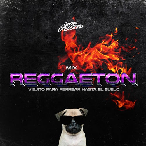 Mix Reggaeton Viejito para Perrear Hasta el Suelo