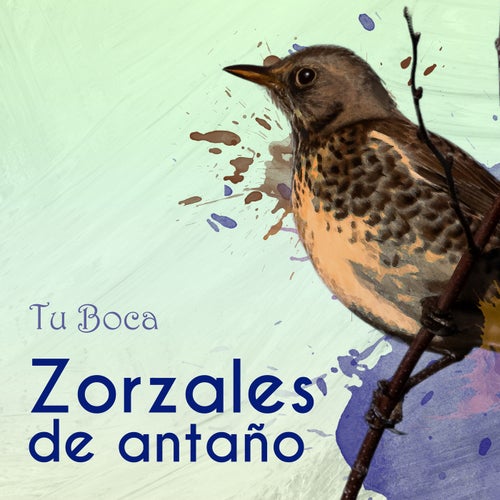 Zorzales de Antaño…Tu Boca