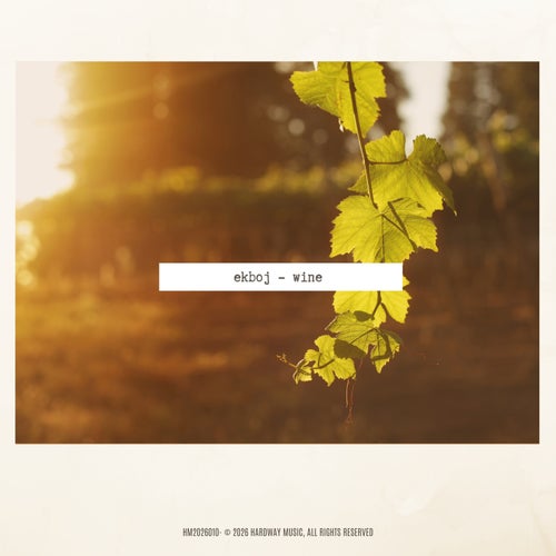 Wine