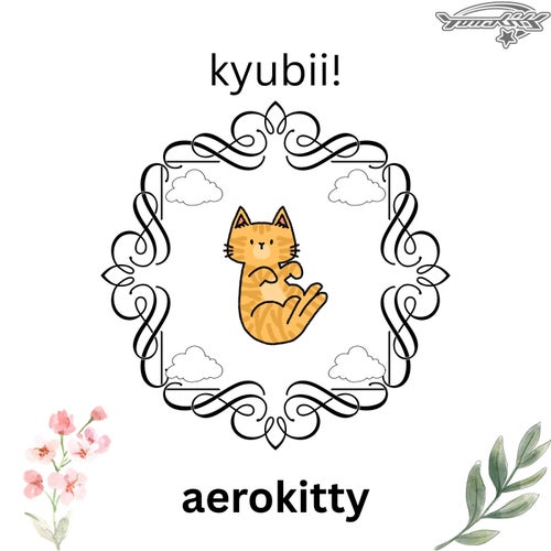 aerokitty