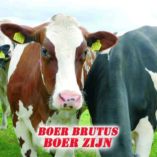 Boer Zijn