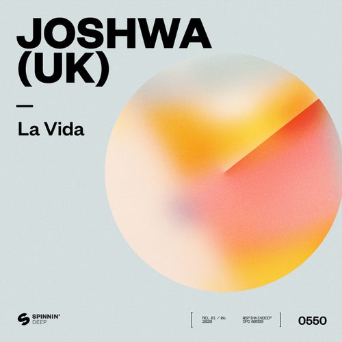 La Vida (Extended Mix)