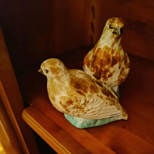 TWO BIRDS